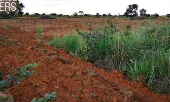 Imagem 3: Oportunidade de investimento fazenda em MT