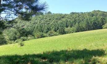 Imagem 3: Chácara de 2 Hectares com riacho na parada 89