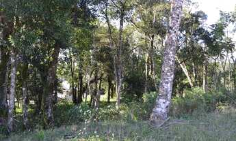 Imagem 2: Terreno à venda, 465 m² por R$ 349.000,00 - Vivendas Do Arvoredo - Gramado/RS