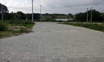 Imagem 2: Loteamento Mbv Caucaia Estrada Velha Do Icarai Pronto Para Construir..., n°:55