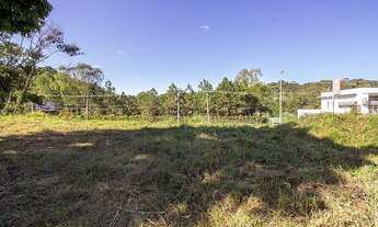 Imagem 7: Ref.: 9170 - Lote ou Terreno - Salvaterra