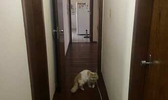 Imagem 6: Quarto Nova Suíça