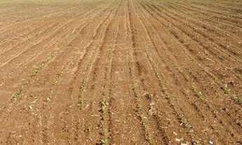 Imagem: Fazenda em Niquelândia - 392 Alqueires