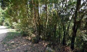 Imagem 2: Área à venda, 3790 m² por R$ 120.000,00 - Parque Pedra do Baú - Campos do Jordão/SP