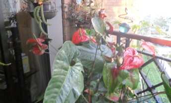 Imagem 6: APARTAMENTO - CITY LAPA - SP