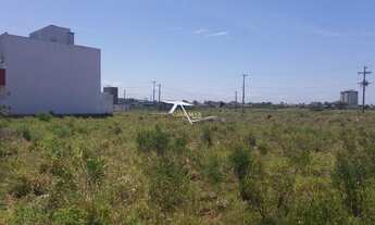 Imagem 2: Terreno morada das palmeiras