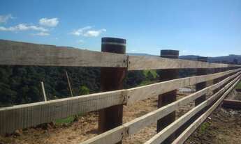 Imagem 7: Fazenda à venda, REFLORESTAMENTO e gado, ÁREA DOBRADA, 52 alqueires, 125 hectares, Zona Ru