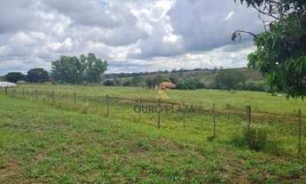 Imagem 4: Fazenda com 2 dormitórios à venda, 2468400 m² por R$ 16.320.000 - Zona Rural - Nhandeara/S