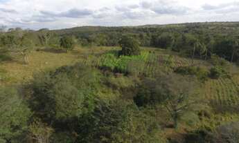 Imagem 5: Linda Fazendinha de 14,5 hectares, Jaboticatubas (Temos varias opções)