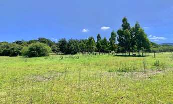 Imagem 2: ÁREA DE TERRA BEIRA DE LAGOA, IDEAL PARA CHÁCARA, CRIAÇÃO DE GADO, SEM BENFEITORIAS, ESTUD