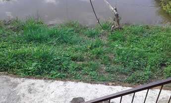 Imagem: Sítio com 3 dormitórios à venda, 92000