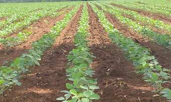 Imagem 3: Fazenda em Niquelândia - 392 Alqueires