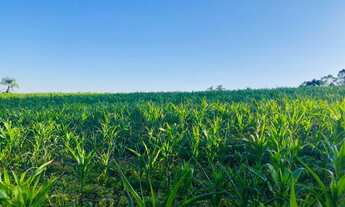 Imagem 3: Lote/Terreno para venda com 999 metros quadrados em Veleiros de Ibiúna - Ibiúna - São Paul