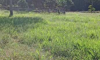 Imagem 4: Vendo 28 Héctares próximo capão verde . Mt