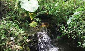 Imagem 3: Belíssimas Chácaras com 2,00 ha Bom Retiro