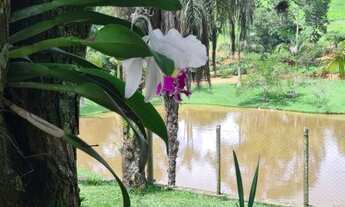 Imagem 6: Fazenda 11,7 hectares sede 4 quartos lagoa pomar Florestal/MG