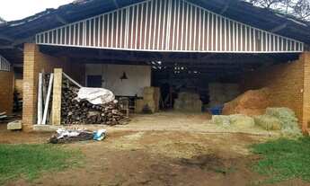 Imagem: HARAS - ÁREA 12 ALQUEIRES