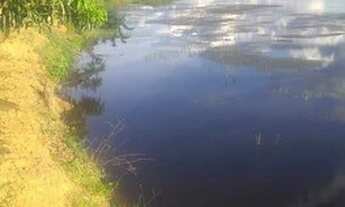 Imagem 3: Jussara - Fazenda - Zona rural