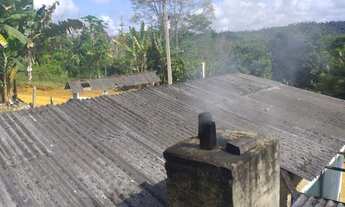 Imagem 7: Vendo Fazenda De Cacau Em Gandu