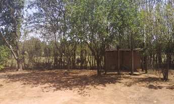 Imagem 7: Chácara à venda, Parque Tropical, Araraquara, SP