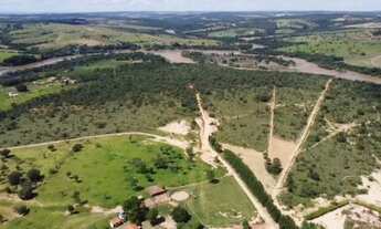 Imagem 6: Fazenda com irrigação por pivo central às margens do São Francisco em Abaeté MG