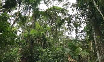 Imagem 3: Terreno Rural em Corupá 130 hectares (1.298.000,00m²