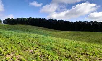 Imagem: Explore Possibilidades Terreno em Cotia