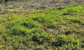 Imagem 2: Promoções imperdíveis para adquirir seu terreno!!