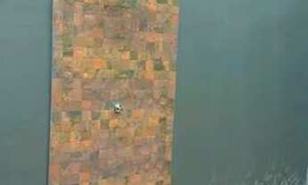 Imagem 3: Vendo ou troco Casa com piscina em carros oportunidade