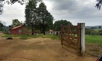 Imagem: SITIO RURAL em SARAPUÍ - SP, rural