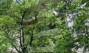 Imagem 7: APARTAMENTO EM IPANEMA COM 4 QUARTOS