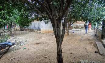 Imagem 2: BONITO - Casa Padrão - Rincão Bonito