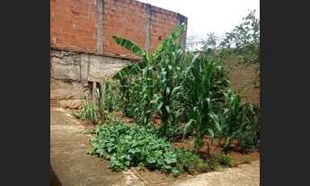 Imagem 6: Vende.se casa no Jardim Europa excelente