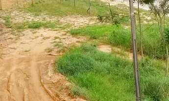 Imagem 4: Granja Coronel Pacheco