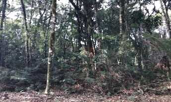 Imagem 2: Terreno no Condomínio O Bosque em Gramado!
