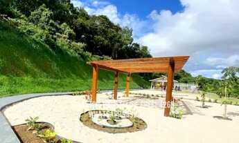 Imagem 6: Chacaras da fazenda 1 , lotes a partir de 1000m²