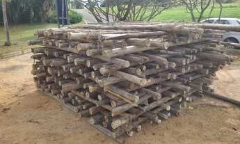 Imagem 2: Pau Escoramento 3 metros