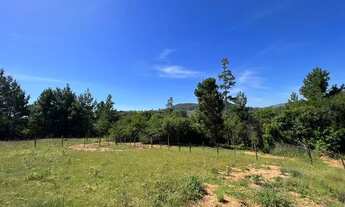 Imagem 2: Fazenda/Sítio/Chácara para venda tem 5000 metros quadrados em Morungava - Gravataí - RS