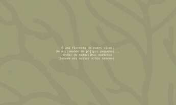 Imagem 3: Apartamento para venda possui 22 metros quadrados com 1 quarto em Centro - Ipojuca - PE