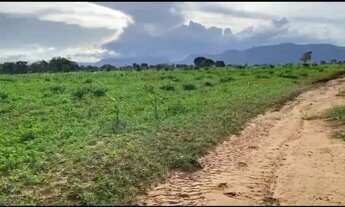 Imagem 8: FAZENDA Á VENDA EM JANGADA-MT!