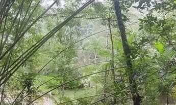 Imagem 7: 24 Alqueires paulistas para pousada 3 milhoes