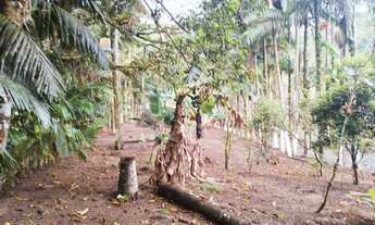 Imagem 3: Vendo belo sitio em garuva