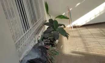 Imagem 4: Sobrado lindo 4 quartos 3 vagas 2 suites a 400 m da estação vila Sônia sala de está sal