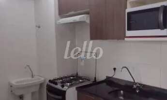 Imagem 6: São Paulo - Apartamento Padrão - Cambuci