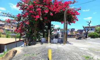 Imagem 2: Bolacha quebrada Ap 2/4 Bosque Aeroporto