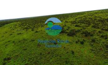 Imagem 4: Fazenda dupla aptidão Norte Tocantins