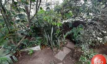 Imagem 3: São Paulo - Casa Padrão - Tucuruvi