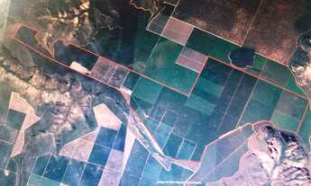 Imagem 6: Fazenda de eucalipto 6.300hect em Bonito de minas 180 milhões