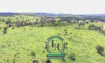 Imagem 3: Fazenda 23 Alqueires Beira Asfalto