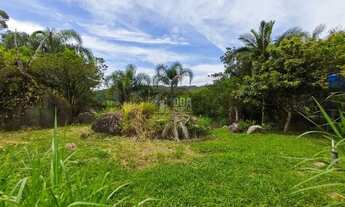 Imagem 7: Terreno Terreno Florianópolis - SC - Ratones